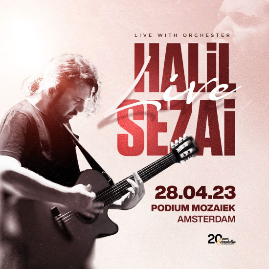 Concert : Halil Sezai