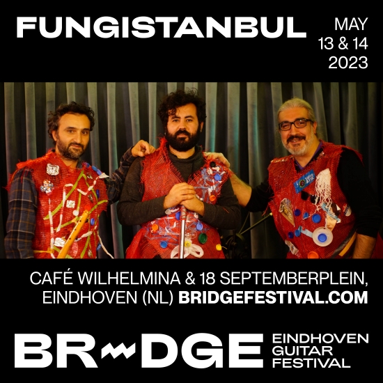 Bridge Festival | Fungistanbul